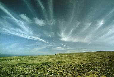 CIRRUS  UNCINUS RADIATUS