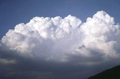 CUMULONIMBUS  CALVUS