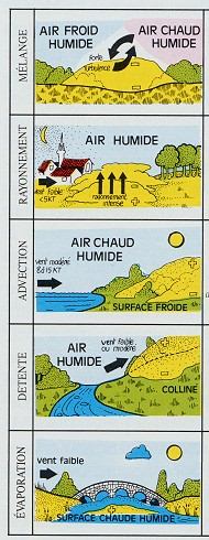 Différents brouillards