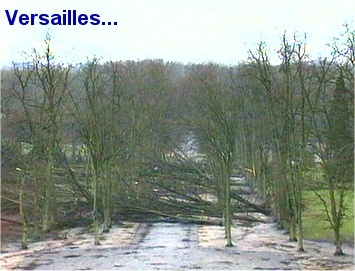 le parc aprés la tempète